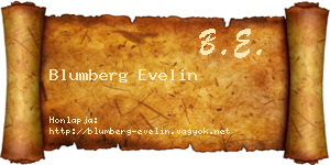 Blumberg Evelin névjegykártya